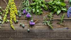 How to Start Your Own Terracotta Herb Planter Garden
