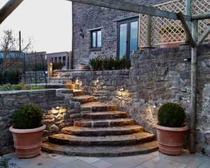 shrubs in terracotta pots