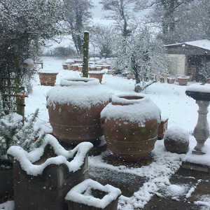 terracotta pots in snow
