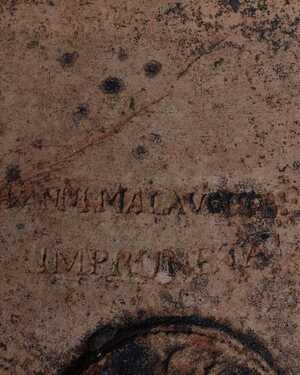Giovanni Malavolti Orcio close up Giovanni Malavolti Orcio close up