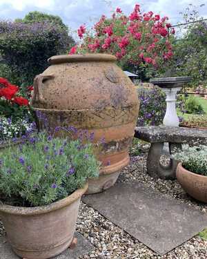 Exceptional Antique Olive Jar Exceptional Antique Olive Jar