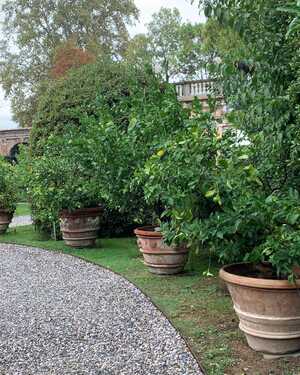 pathway with terractotta planters