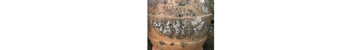 1EAB881C-DE3E-46ED-854E-AEE2D0A96B83_1_201_a.jpeg