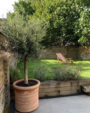 Cilindro Liscio terracotta pot