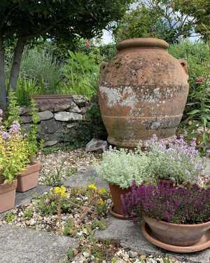 1800s Agestri Kiln Olive Jar 1800s Agestri Kiln Olive Jar
