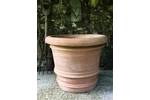 Vaso Firenze.jpeg