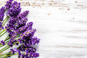 lavender on a white wooden board