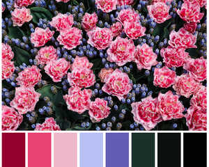 Some pink and purple flowers with a colour palette underneath Some pink and purple flowers with a colour palette underneath