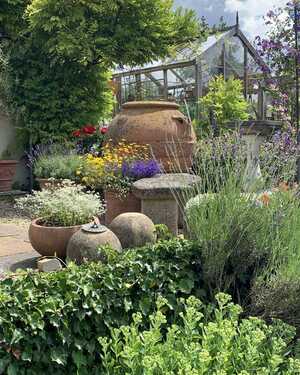 Exceptional Antique Olive Jar in garden Exceptional Antique Olive Jar in garden