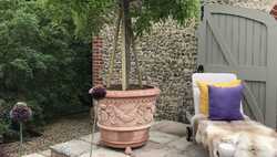 Summer is Here! How to Bring Luxury and Natural Shade to Your Garden with Large Terracotta Pots