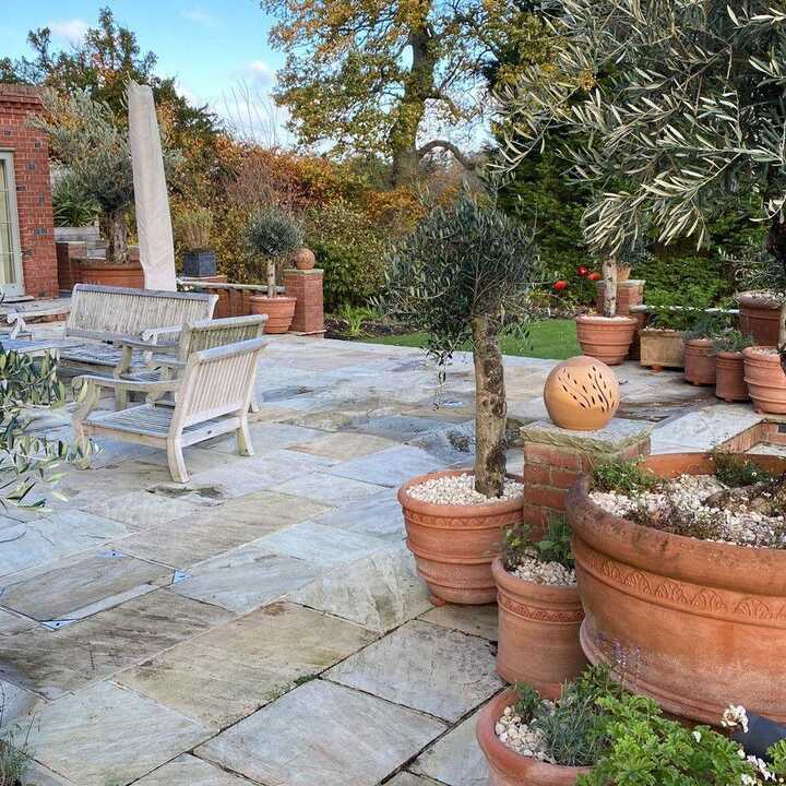 A stone patio adorned with potted trees and various plants. Terracotta pot Conca Siena is visible