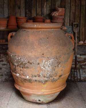 Initialed Olive Jar with Rosette Boss