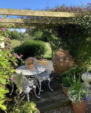 orcio antique oil jar in the garden