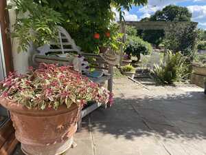 Large planter next to wooden seat with an open book and a hat on it