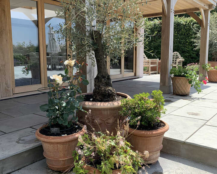 Cilindro Liscio terracotta planter
