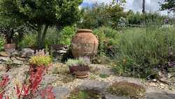 What To Plant In My Garden This Autumn