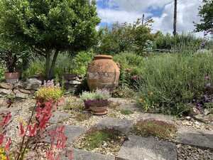 1800s Agestri Kiln Olive Jar in garden setting