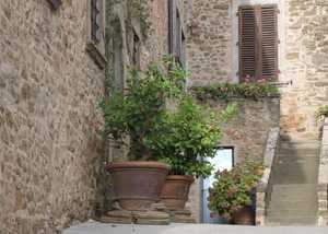 A stone building with stairs leading up to a door and shuttered windows with large pots and greenery next to the stairs