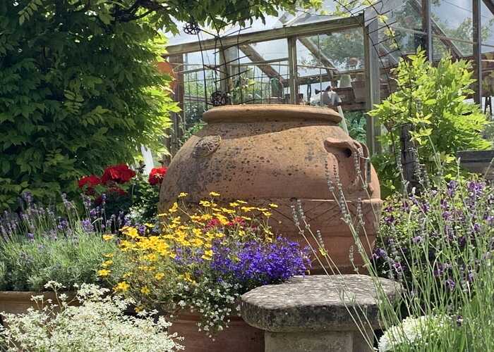 A selection of varying-sized terracotta pots and a variety of flowers including lavendar