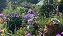 Create Your Own Beautiful Country Cottage Garden