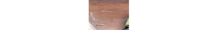 IMG_2446.HEIC
