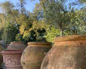 Large terracotta pots with blue sky and early autumnal trees in the background