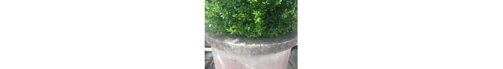 IMG_5280.JPG
