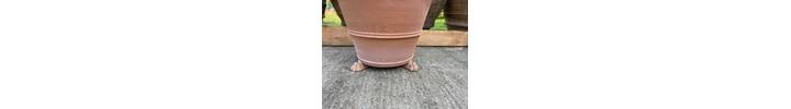 IMG_7865.jpeg