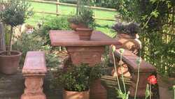5 Gardening Trends from RHS Chelsea Flower Show 2024