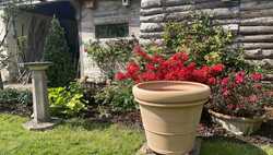 Large Handmade Terracotta Pots: Next Season’s Must-Have Garden Feature