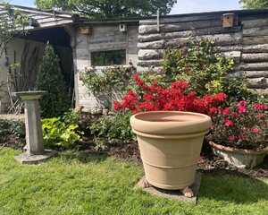 Due Orli terracotta pot