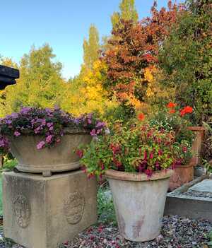 summer garden with terracotta pots summer garden with terracotta pots