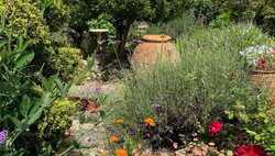 Top 5 Spring Landscaping Ideas to Transform Your Garden