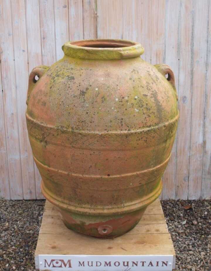 Orcio 5