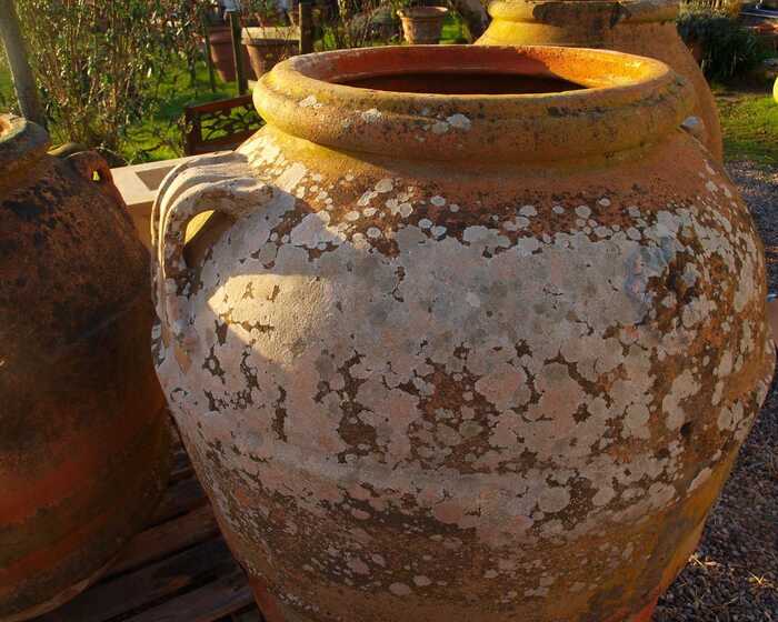antique terracotta oil jar
