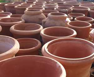 A selection of Tuscan terracotta pots
