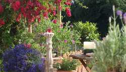 Why Spending Time in the Garden is Great For Your Wellbeing