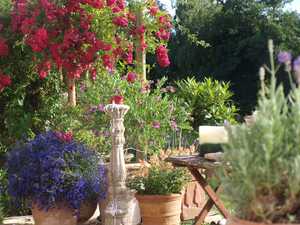 A garden with lots of colour from flowers in terracotta pots and a striking statue