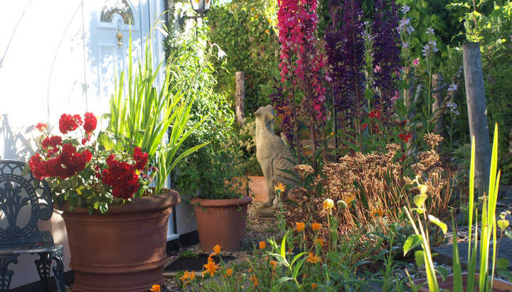 5 Ways to Add Instant Natural Colour to Your Garden This Summer