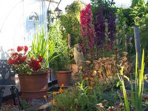 summer garden with terracotta pots summer garden with terracotta pots