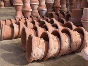 flowers in large terracotta pots in a pretty garden with autumnal trees in the background