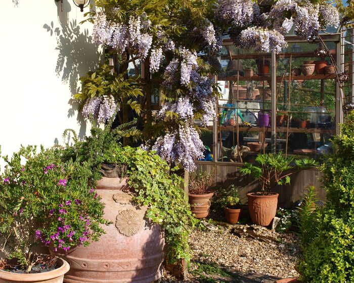 summer garden with terracotta pots summer garden with terracotta pots