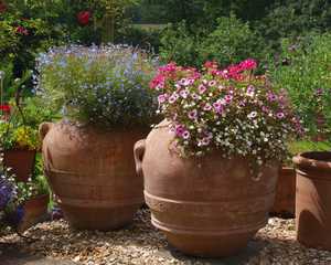 Large Orcio pots planted with flower display
