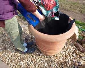 potting with large terracotta pots