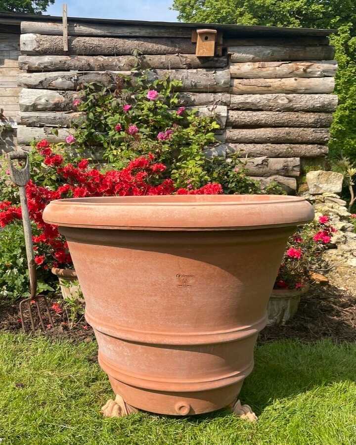 Toscano Classico Grande pot from Mud Mountain