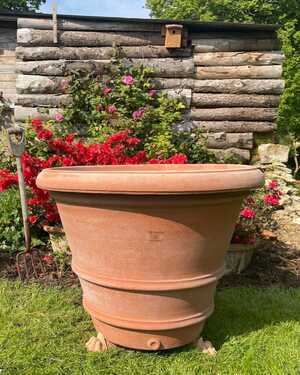 Toscano Classico Grande pot from Mud Mountain Toscano Classico Grande pot from Mud Mountain