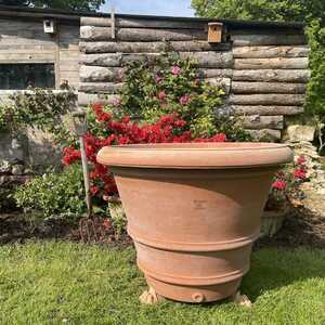 Toscano Classico Grande pot from Mud Mountain