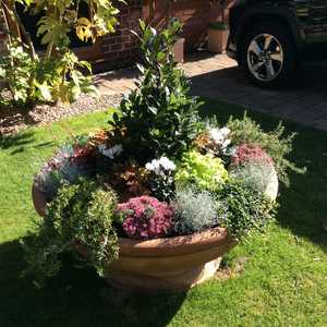 terracotta planter