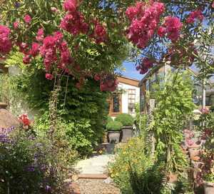 A lovely summer garden with blue sky and colourful flowers A lovely summer garden with blue sky and colourful flowers