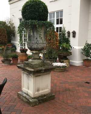 Campana Vase on Georgian Pedestal Campana Vase on Georgian Pedestal